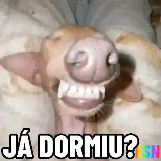 Legendados 19