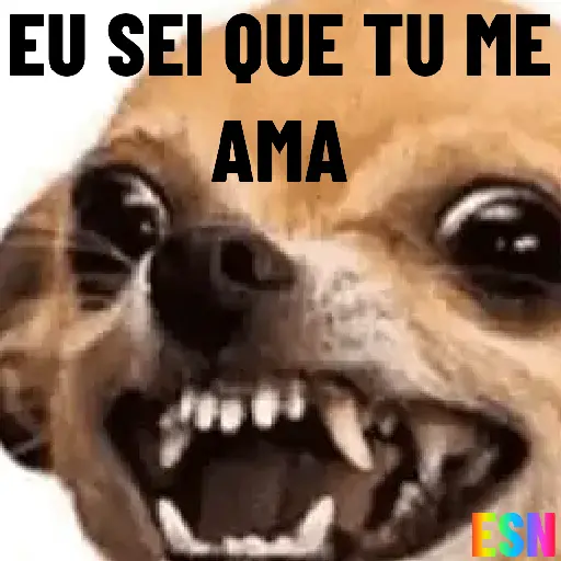 Legendados 10