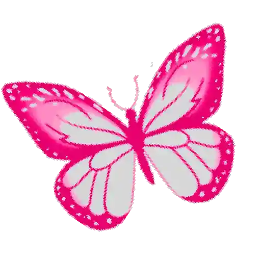 Mariposas 21