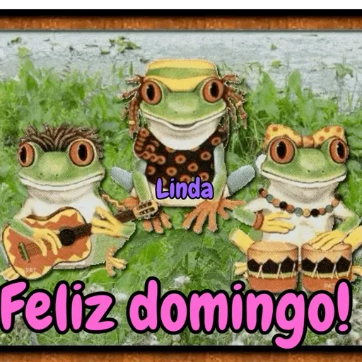 Axy Linda 11 21