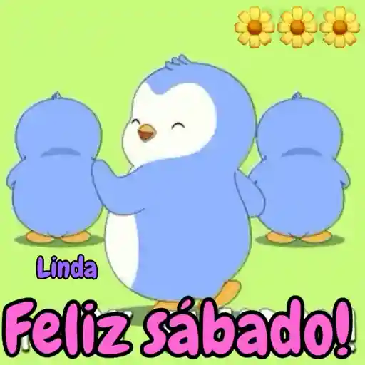 Axy Linda 11 20