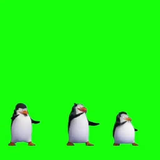 🧿Prendelo Pingüino 🐧🐧🐧 6