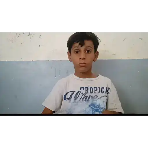 Animadas 2 4
