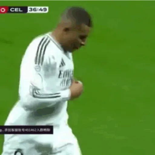 Real Madrid 2024 29
