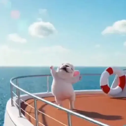 Pibble 🐶 Perro Pibble TikTok🪩 3