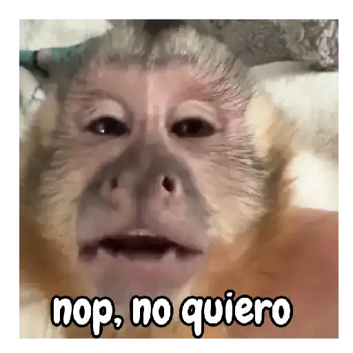 Frío de monos 🙉❄️ 8