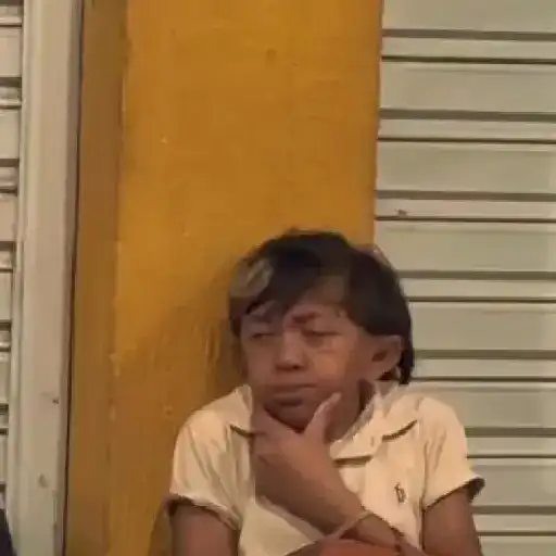 Zoeirasdiversas 16