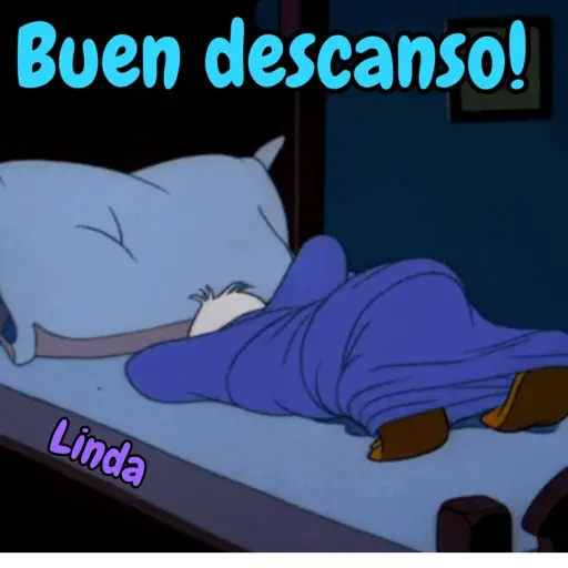 Axy Linda 11 1
