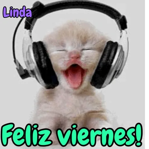 Axy Linda 11 17
