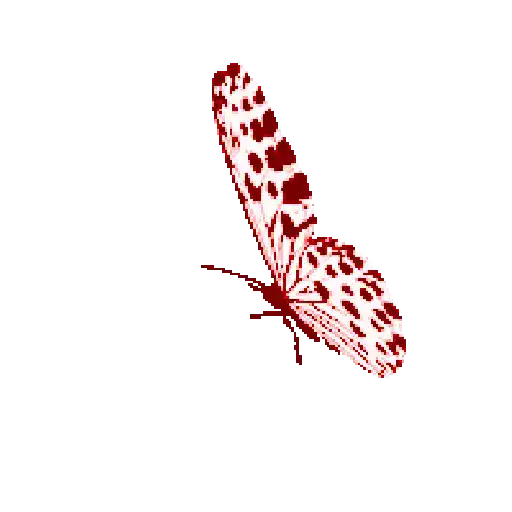 Mariposas 9