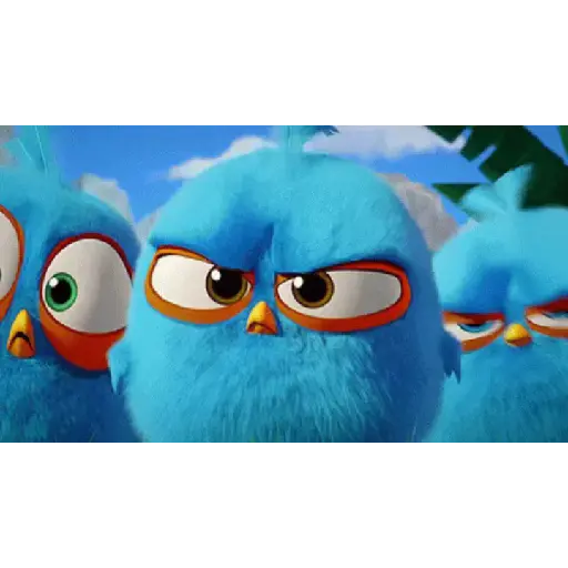 Angry birds 14