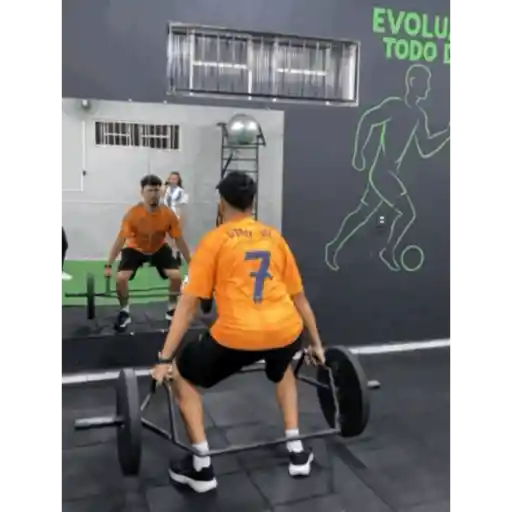 Zueira 1