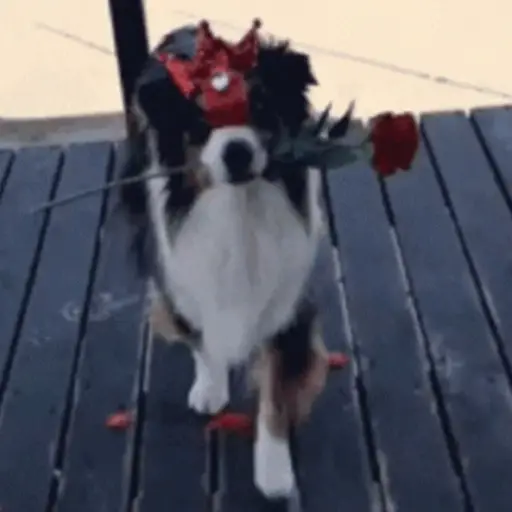 ❤️❤️ SAN VALENTIN ❤️❤️ 1