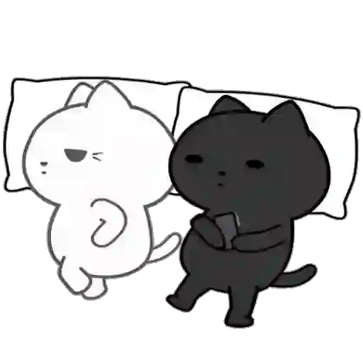❤️ Amor Parejitas de Gatos 😻❤️ 17