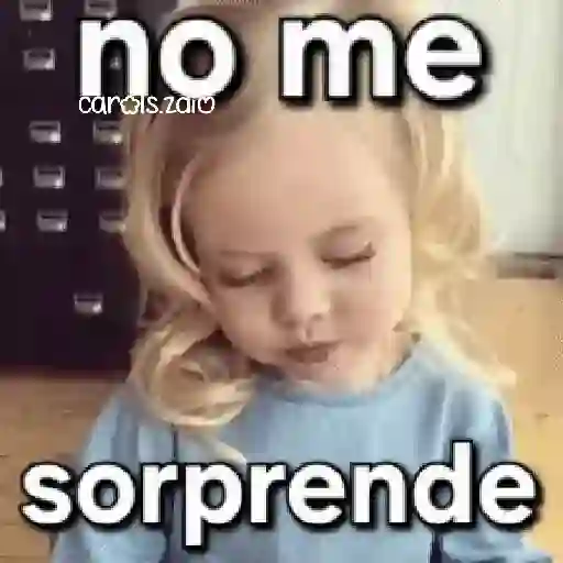 Bebés groseros respondones 3🍼 6