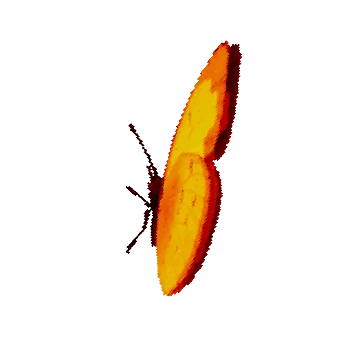 Mariposas 4