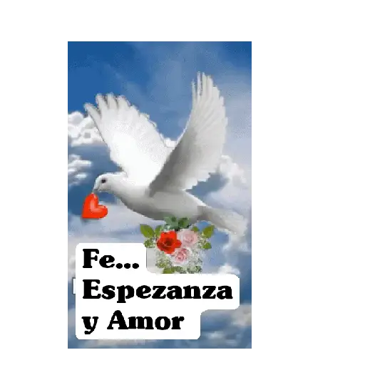 Animados 1 19