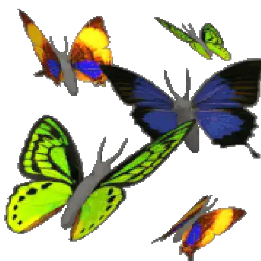 Mariposas 7
