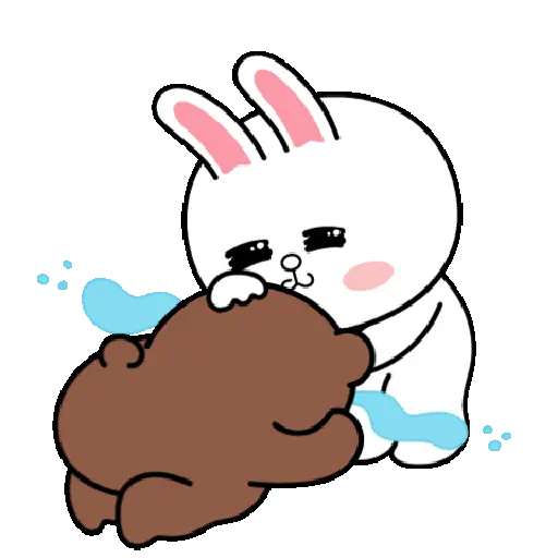 ❣️BROWN & CONY : Valentine❣️ 19