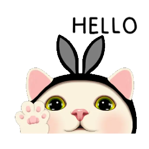 Gatitos 12