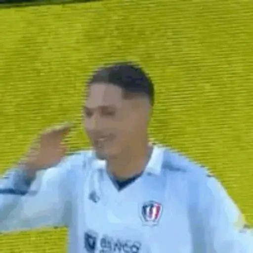 LDU 4