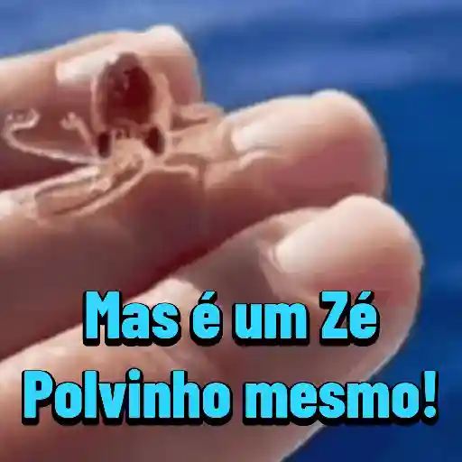 Simpáticas 8