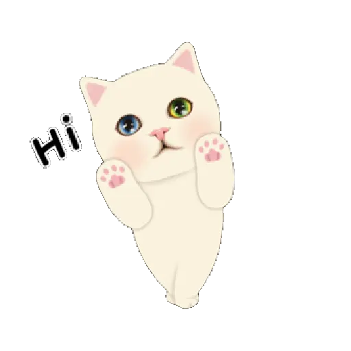 Gatitos 21