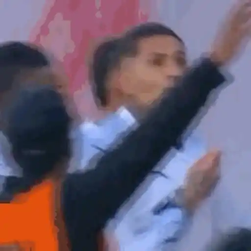 LDU 3