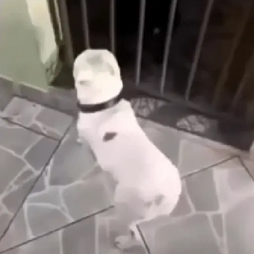 Fuera Fuera depresión 💃 1