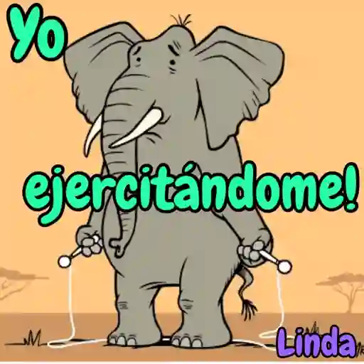 Axy Linda 11 12