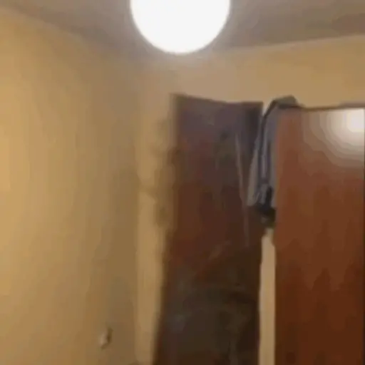 Tiktok Stickers 28
