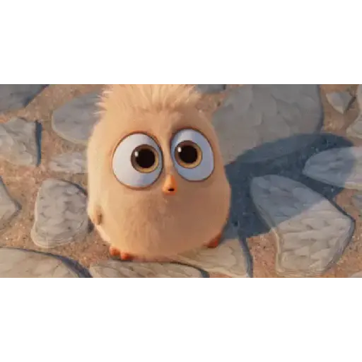 Angry birds 11