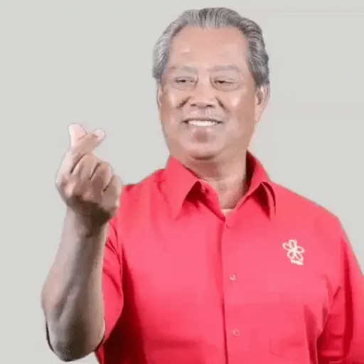 Perikatan Nasional GIF 11