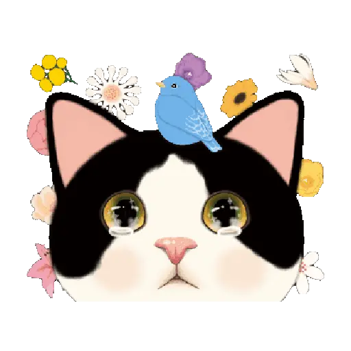 Gatitos 15