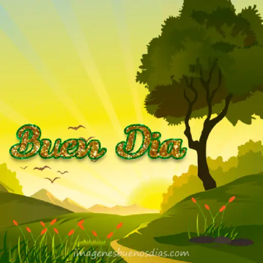 Bueno días 11