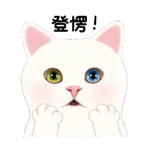 Gatitos 4