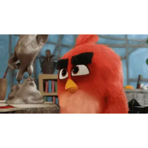 Angry birds 8