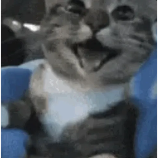 Tiktok Stickers 26