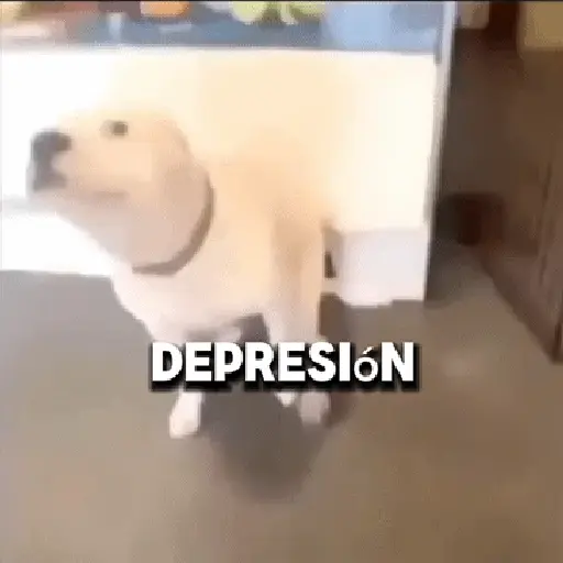 Fuera Fuera depresión 💃 2