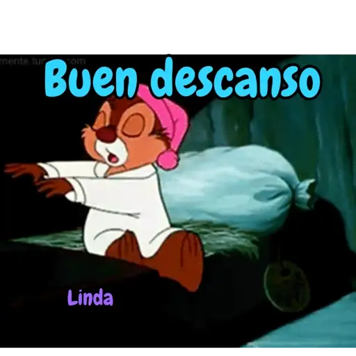 Axy Linda 11 5