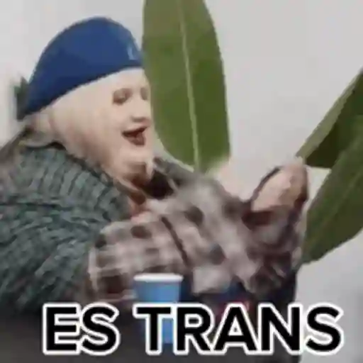 VIVA LA MEXICO 26