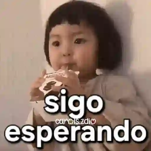 Bebés groseros respondones 3🍼 15