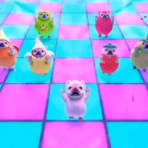 Perro Pibble 🐶 Tiktok🪩🌈 14
