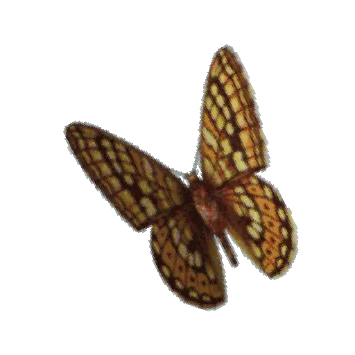 Mariposas 3