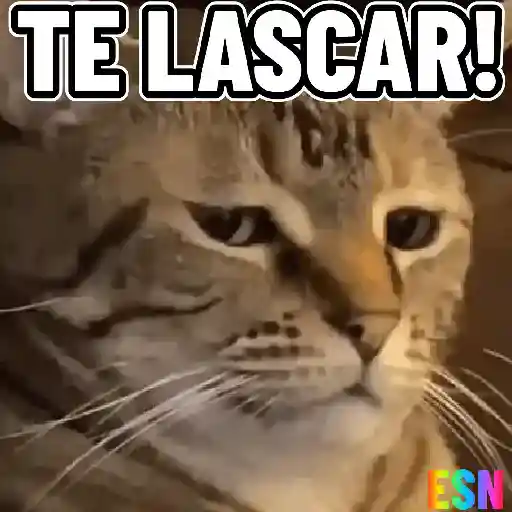 Legendados 12