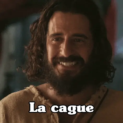 🧿 Meme Jesus😂🙏🏻 9