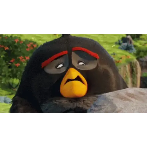 Angry birds 18