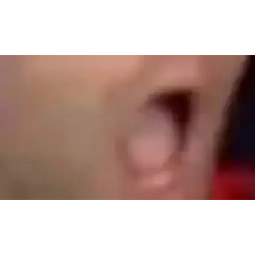 Animadas 2 1