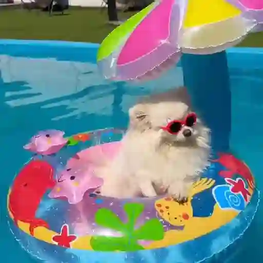 ❦̷ ⃝⃔❤⃪็ᭂƘcɦ̢ꫀ֟፝͞ᥲ𝛛ᥲ᬴᭄⃕͜ 
❤️ 4