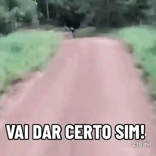 PEDAL / BIKE / BICICLETA  2